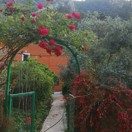 Vilă Cirali Akkelle Kemer