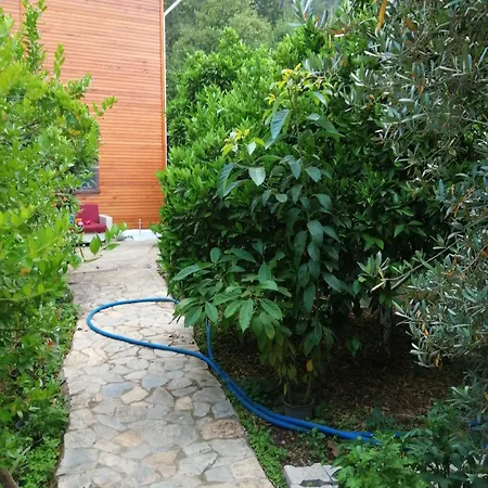Vilă Cirali Akkelle Kemer