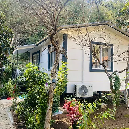 çıralı Akkelle