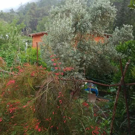 çıralı Akkelle Villa