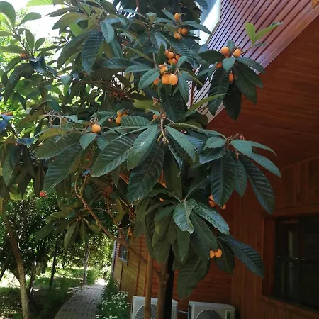 çıralı Akkelle Villa Kemer