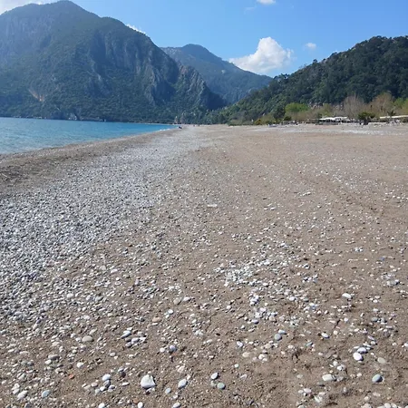 çıralı Akkelle