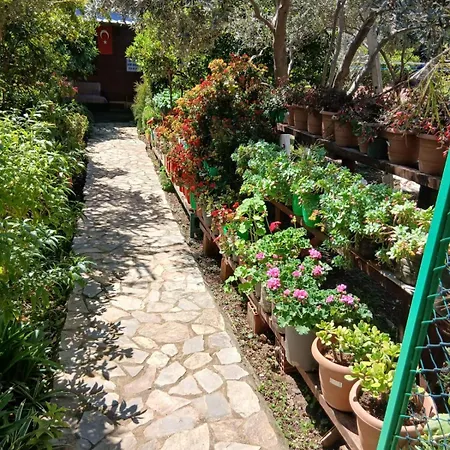 Cirali Akkelle Villa Kemer