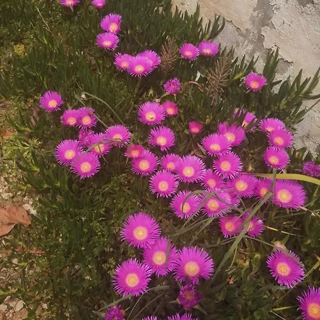 Cirali Akkelle Kemer