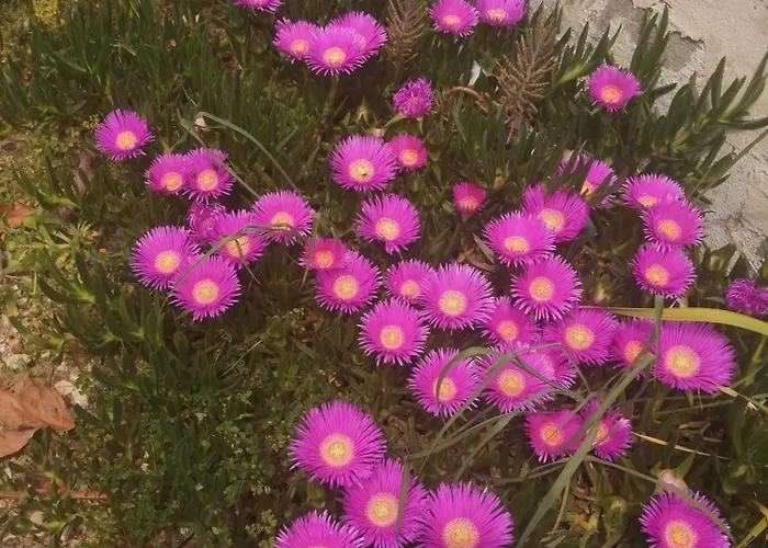 Cirali Akkelle Kemer