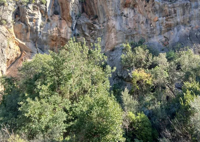 Cirali Akkelle * Kemer